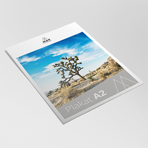 Plakat | A2